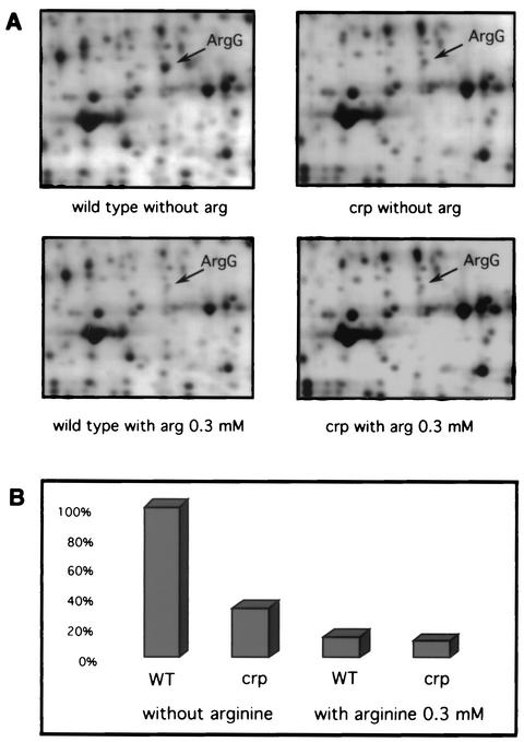 FIG. 1.