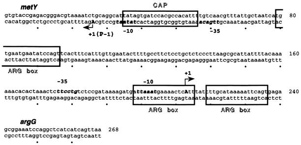 FIG. 5.