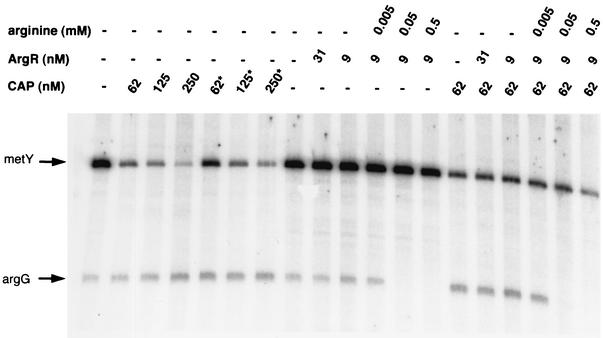 FIG. 7.