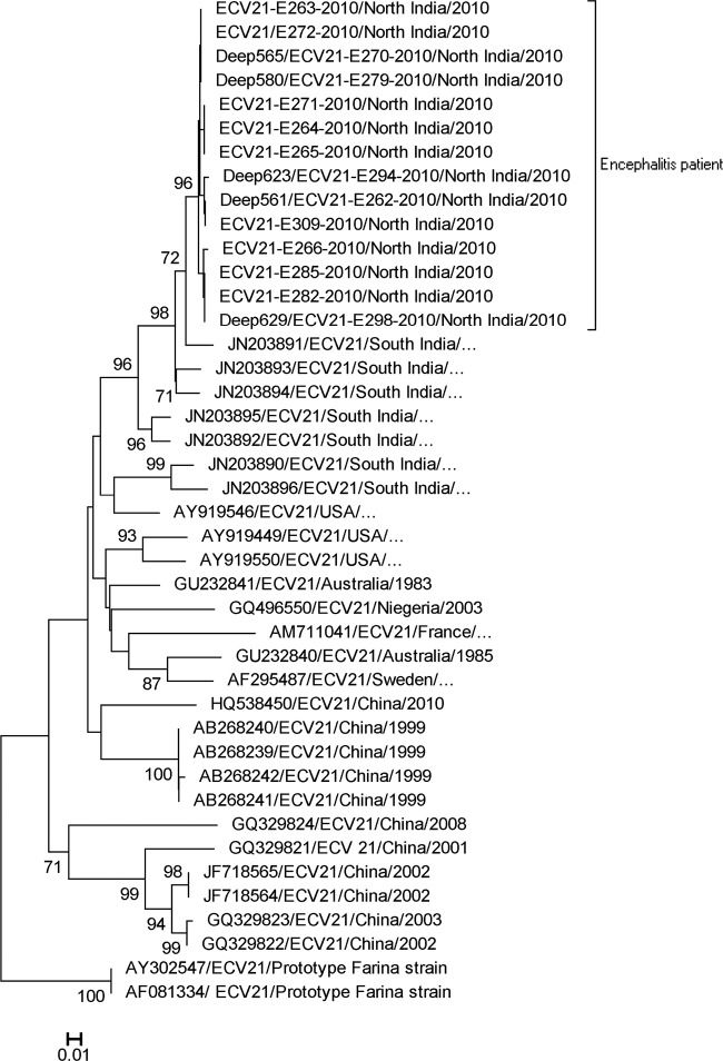 Fig 2