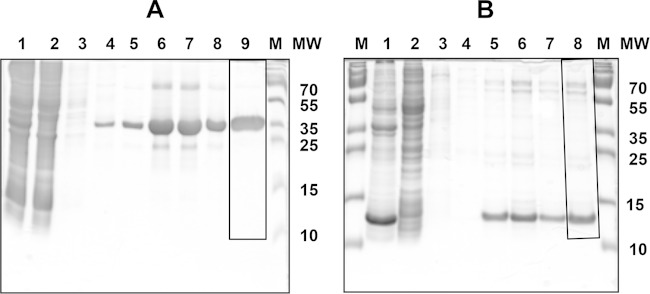 FIG 2