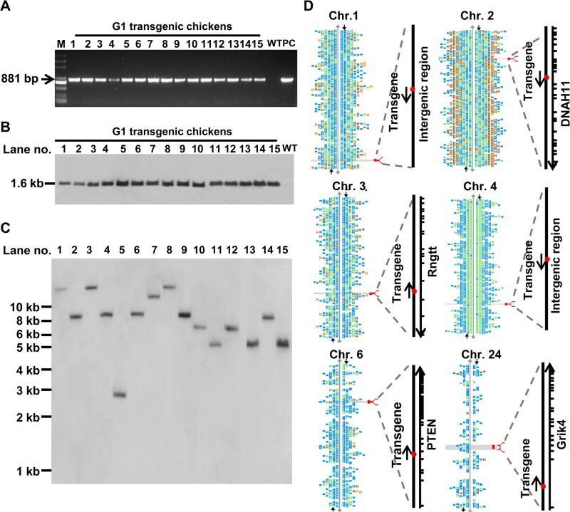 Fig 3