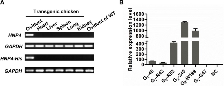 Fig 4