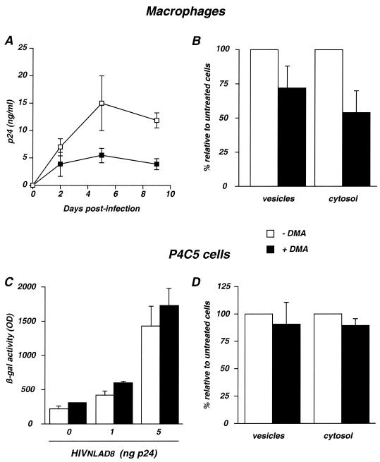 FIG. 6