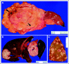 Fig 1.