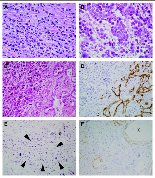 Fig 3.