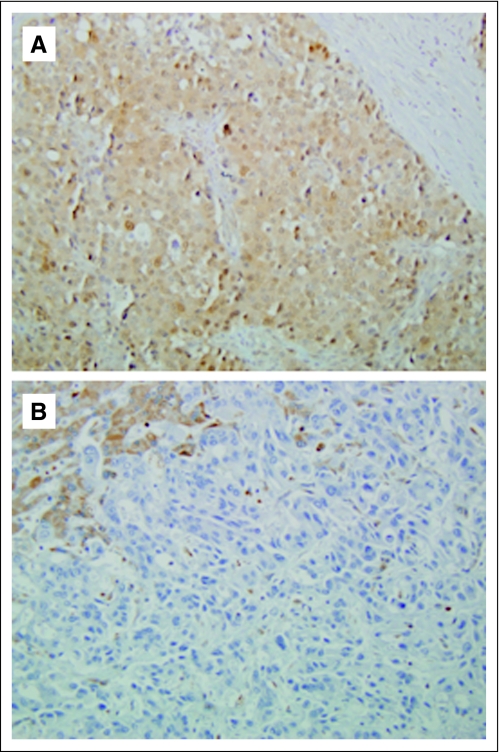 Fig A1.