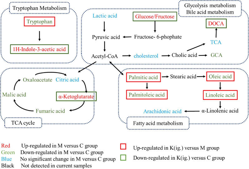 Fig. 7