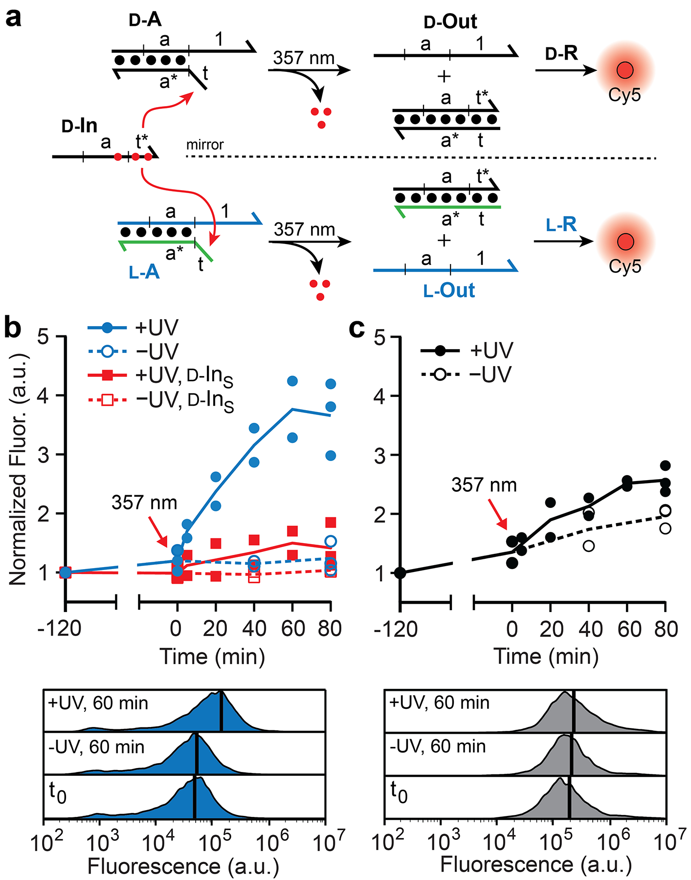 Figure 2.