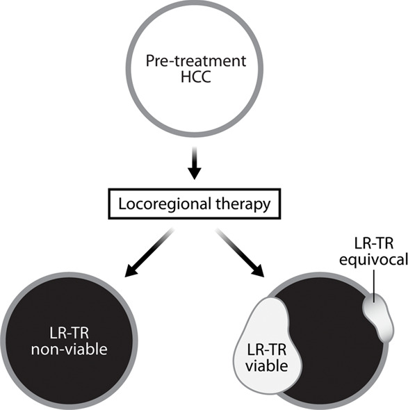 Figure 1b: