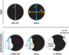 Figure 1a: