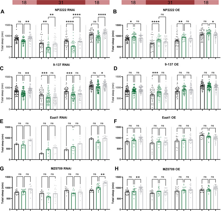 Figure 5—figure supplement 1.