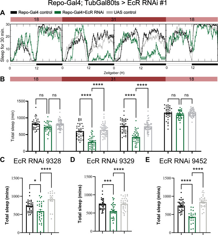 Figure 2—figure supplement 3.