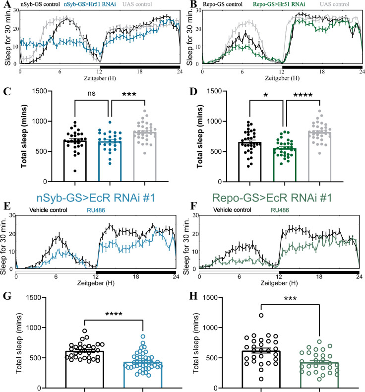 Figure 2—figure supplement 2.