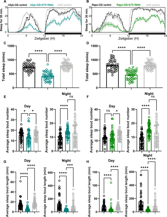 Figure 2—figure supplement 1.