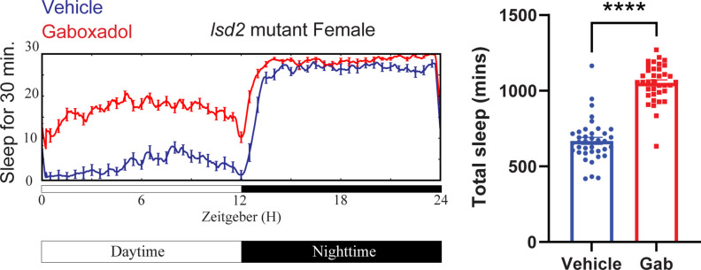 Figure 6—figure supplement 2.