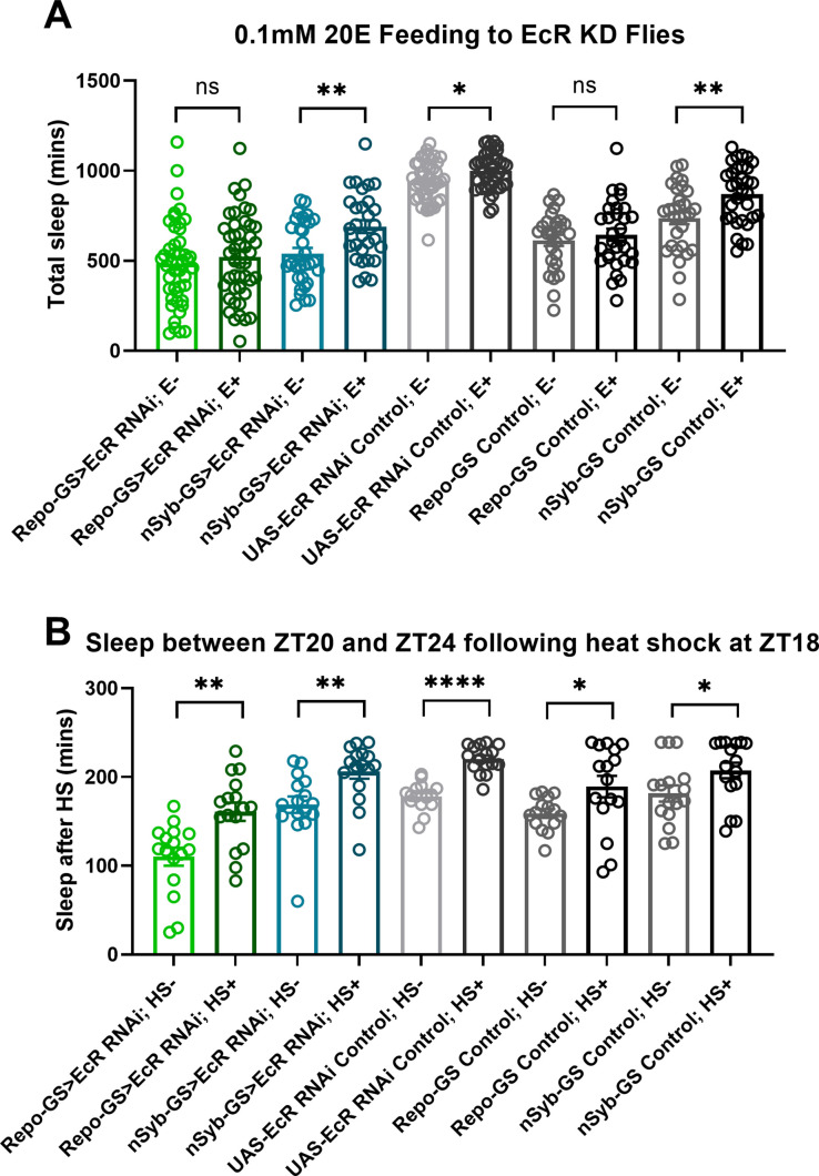 Figure 3—figure supplement 1.