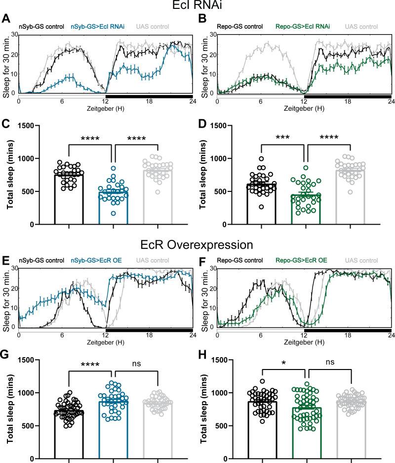 Figure 2—figure supplement 4.