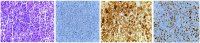 [Table/Fig-9a-d]:
