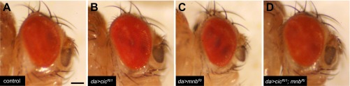 Fig. S6.