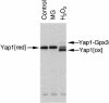 FIG. 8.