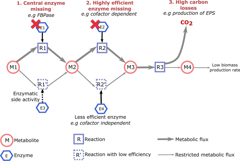 FIG 2