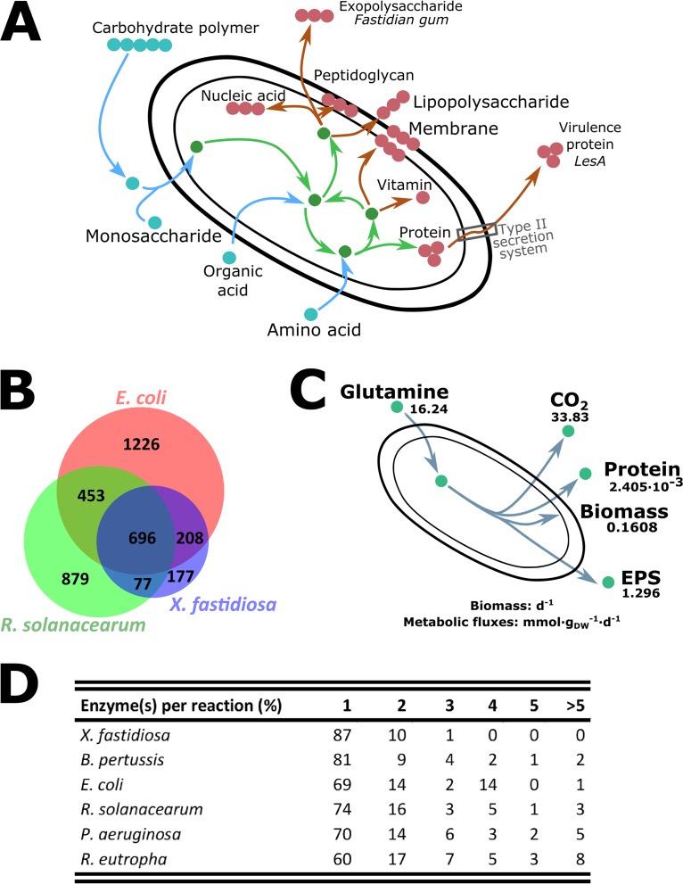 FIG 1