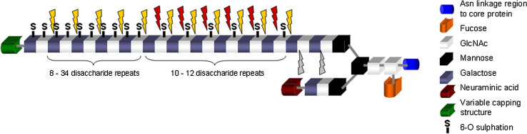 Fig. 2