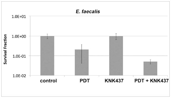 Fig 7