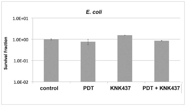 Fig 8