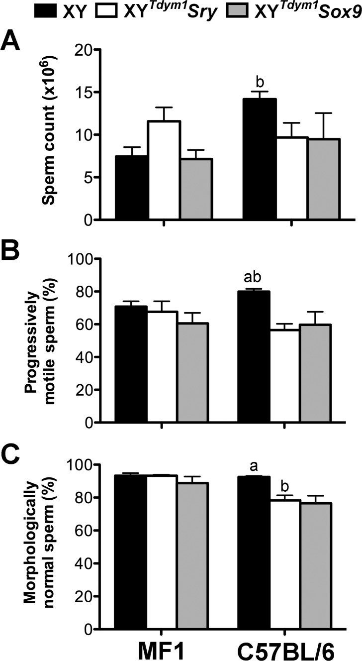 FIG. 8