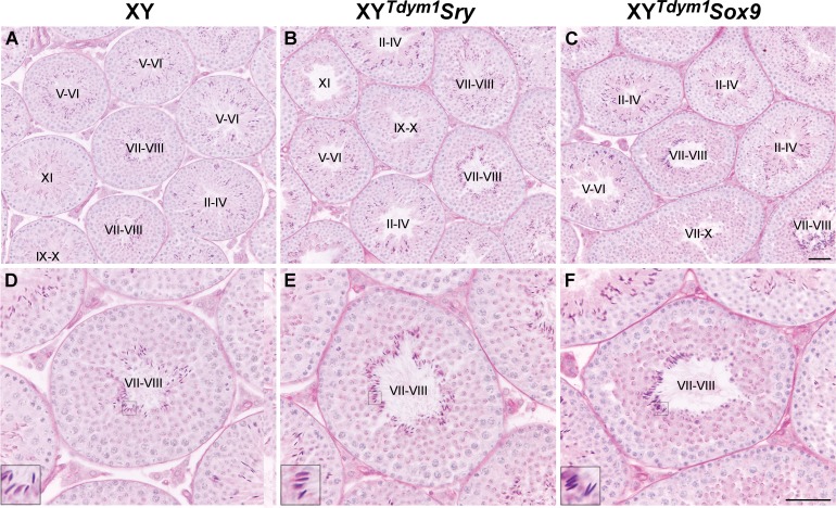 FIG. 6