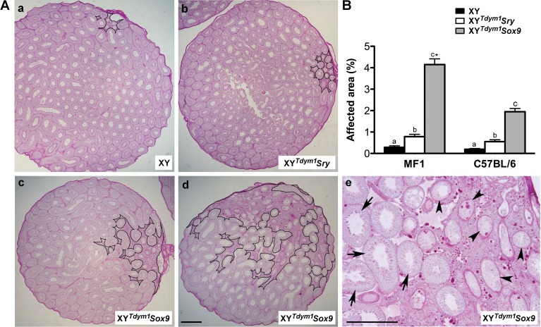 FIG. 5