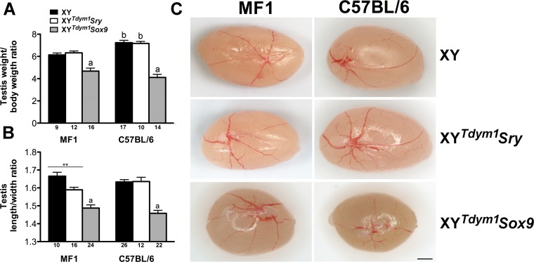 FIG. 3