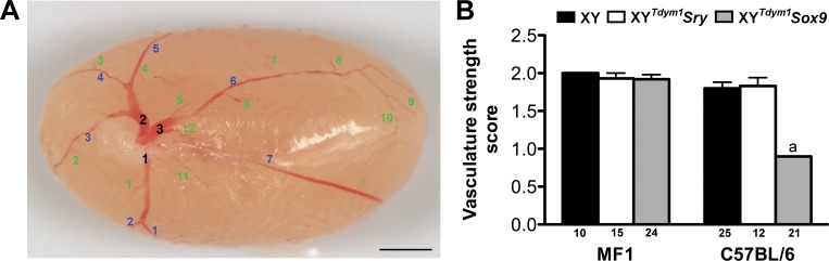 FIG. 4