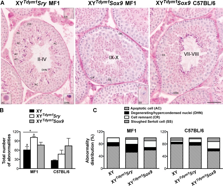 FIG. 7