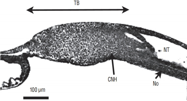 Fig. 9.