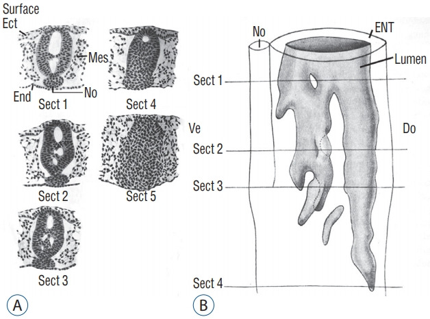 Fig. 10.