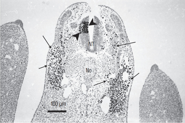 Fig. 15.