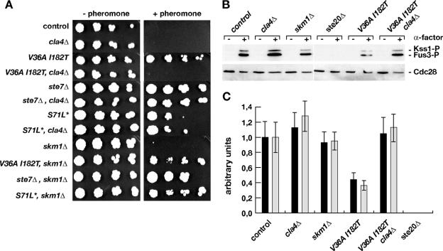 FIG. 7.