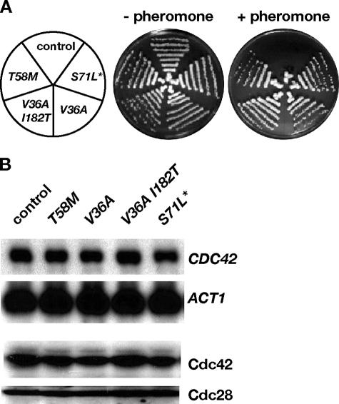 FIG. 1.