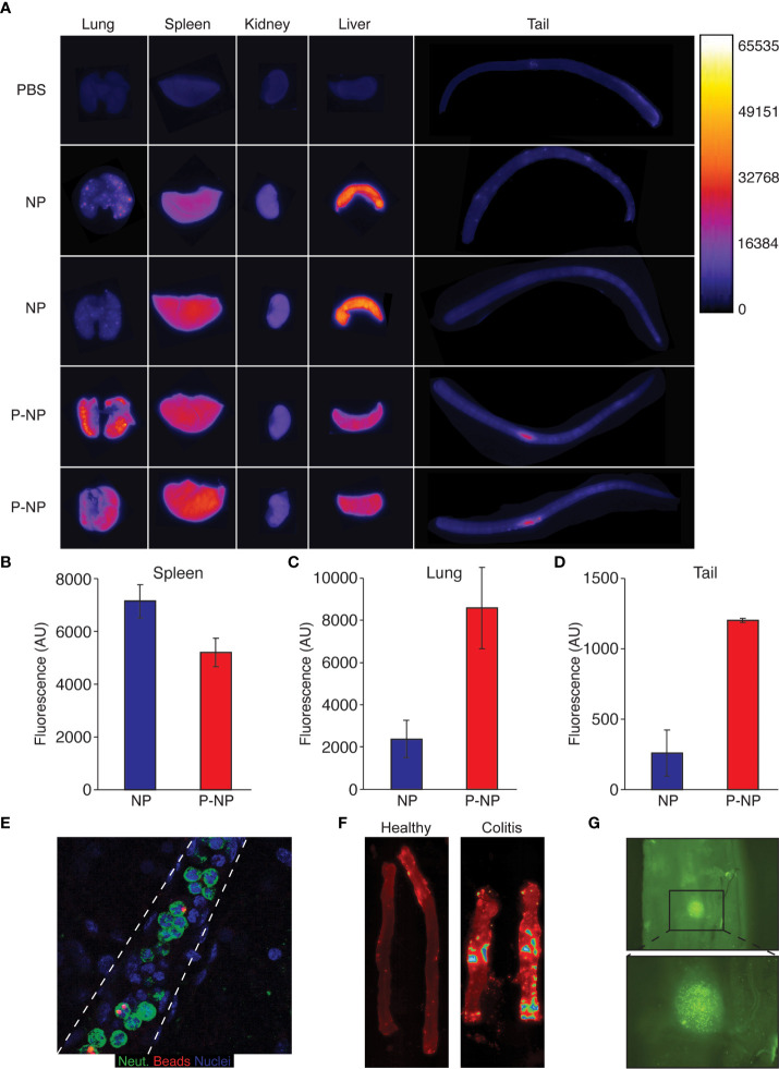 Figure 3