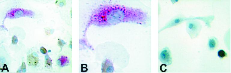 FIG. 6