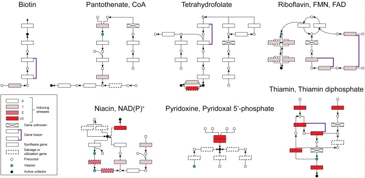 Figure 5.