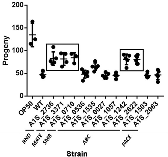 FIG 3