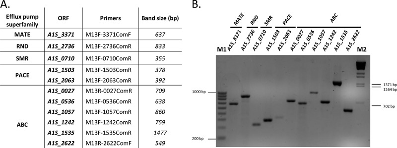 FIG 1