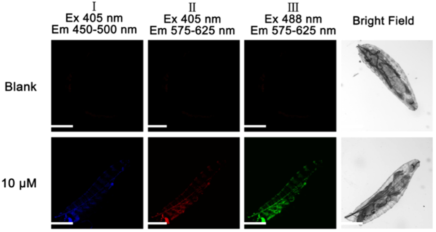 Figure 11.