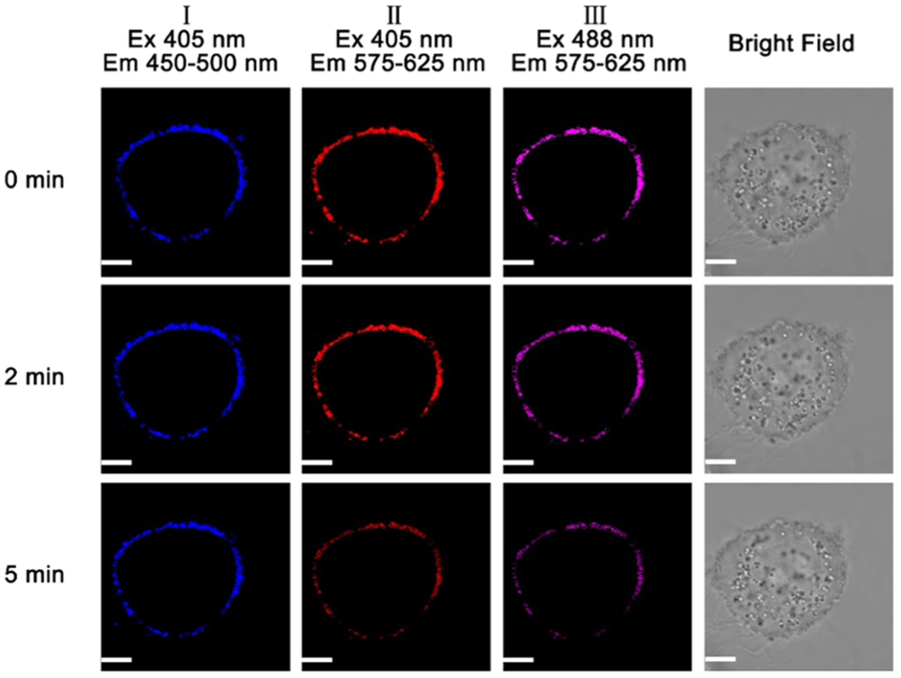 Figure 10.