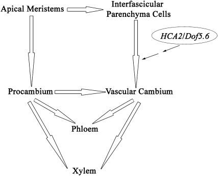 Figure 10.