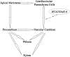 Figure 10.